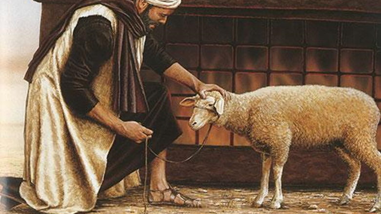 Poop, sacrifice and exhortation: How Cult of the Lamb broke the